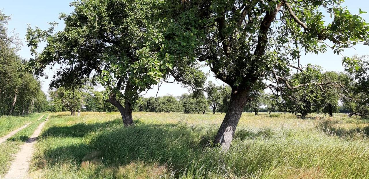 Gaestehaus Hoeltig Havekost المظهر الخارجي الصورة